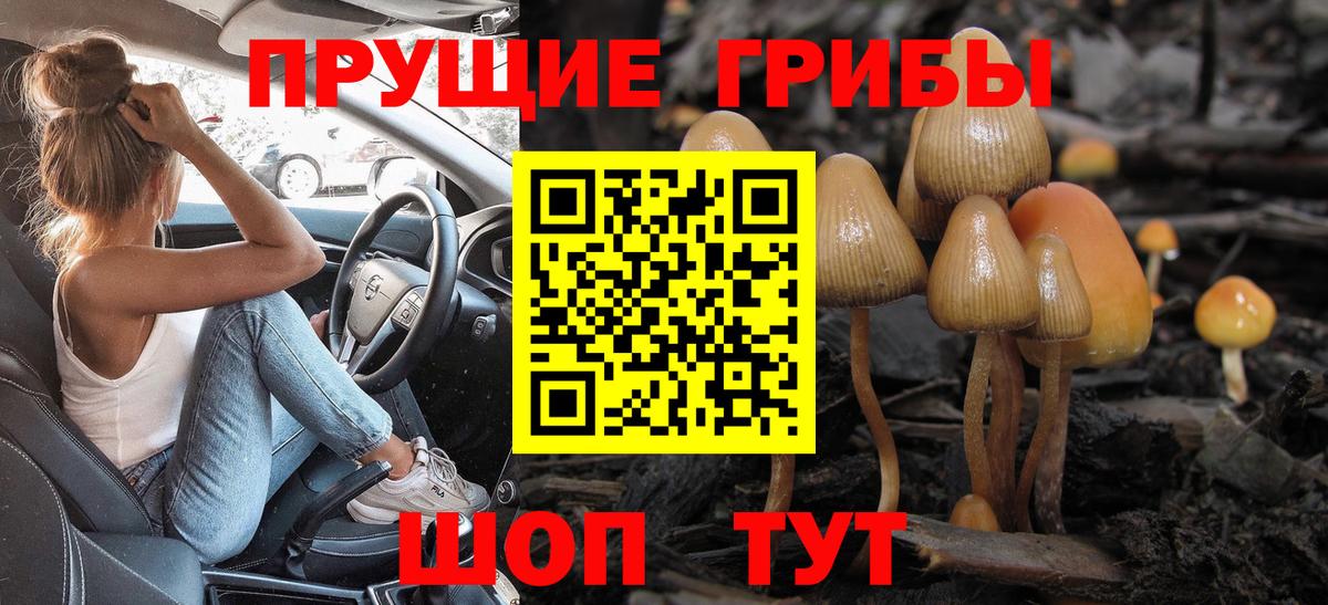 Псилоцибиновые грибы прущие грибы Шумерля